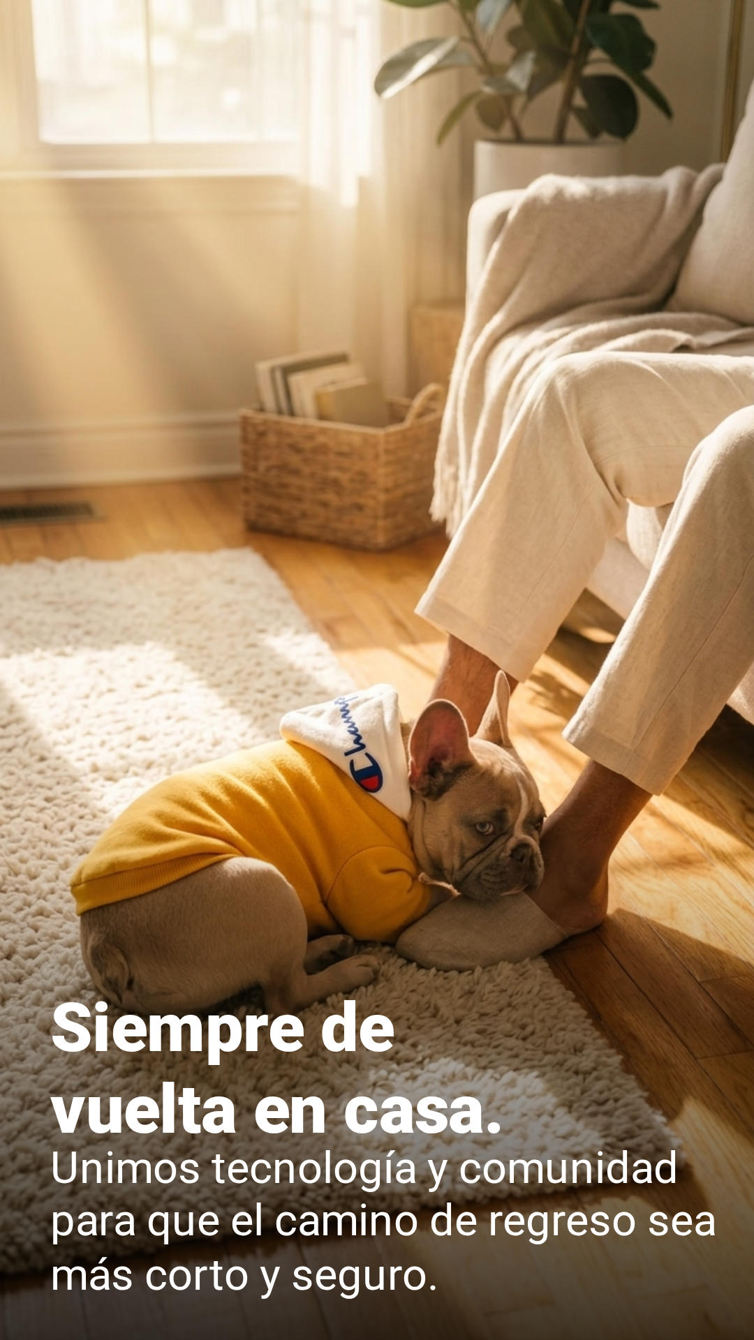 Mascota
