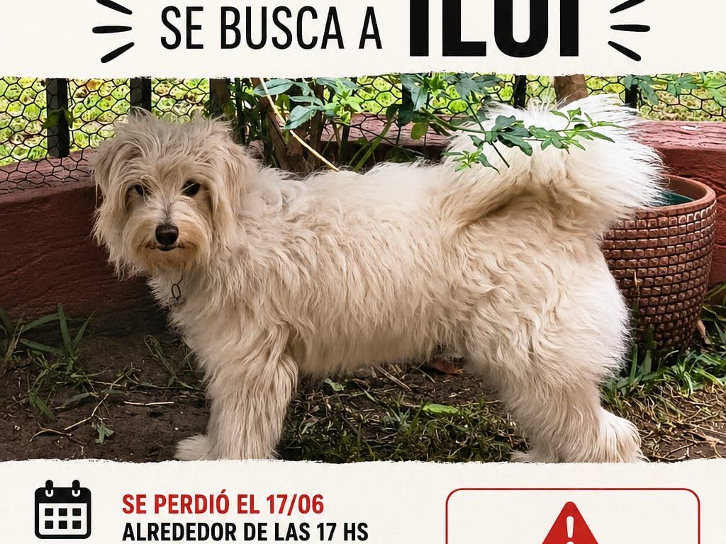 Mascota